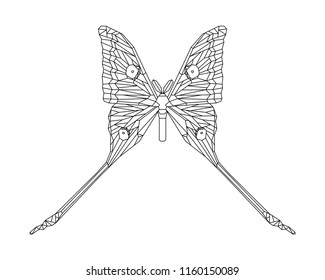 Comet moth vector illustration isolated on white background. Male