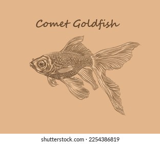 Cometa la ilustración de peces de colores con detalles y realce en estilo grabado.