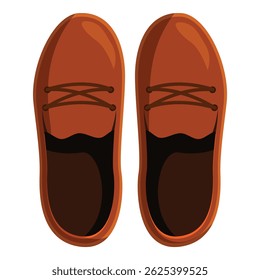 Comfortable brown leather shoes, tied and ready for a walk, seen from above