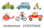 Comic animals in different vehicles vector illustrations set. Different means of transport, cute funny monkey, lion cartoon characters riding car, helicopter, bike, scooter. Transportation concept