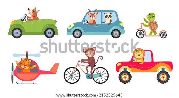 Comic animals in different vehicles vector\
illustrations set. Different means of transport, cute funny monkey,\
lion cartoon characters riding car, helicopter, bike, scooter.\
Transportation concept