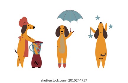 Comic Brown Dachshund Dog Cooking Smoothie in Blender, Hanging Stars and Walking with Umbrella Vector Set