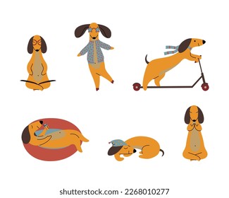 Comic Brown Dachshund Dog Engaged in Different Activity Vector Set