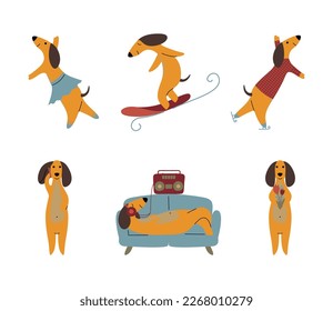 Comic Brown Dachshund Dog Engaged in Different Activity Vector Set