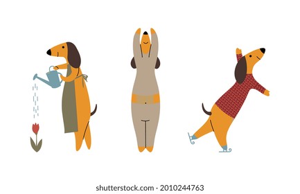 Comic Brown Dachshund Dog Watering Flowers, Ice Skating and Doing Yoga Vector Set