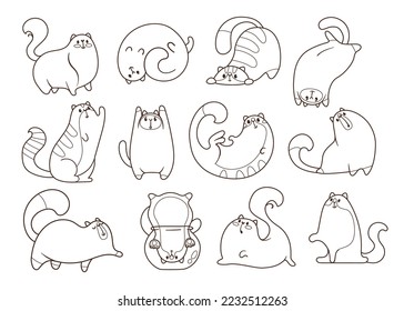 Comic cats in different poses vector doodles set. Cute hand drawn kitten cartoon characters standing, lying, walking isolated on white background. Pets or domestic animals concept