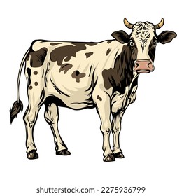 Comic cow Vectors, coloring page, vector illustration, COLOR, white background