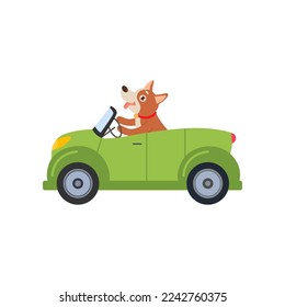 Comic dog in car vector illustration. Cute funny dog cartoon character riding car. Transportation concept