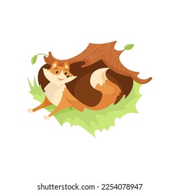 Comic fox coming out of den under tree vector illustration. Cartoon drawing of wild orange animal character in hole isolated on white background. Nature, wildlife concept