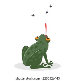 Comic frog catching flies with long tongue vector illustration. Cartoon drawing of green reptile character eating flying insects on white background. Wildlife, nature, fauna concept