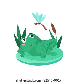 Comic frog looking at dragonfly in surprise vector illustration. Funny aquatic animal cartoon character sitting on lily leaf in swamp isolated on white background. Nature, wildlife concept