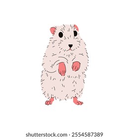 Comic hamster or vector standing animal. Image of funny mammal or rodent clipart. Cute domestic pet with fur in stand pose. Furry mascot with paw. Zoology and biology theme. Chewing home habitat