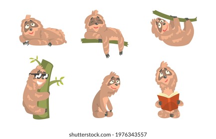 Comic Sloth Hanging in the Tree and Reading Book Vector Set