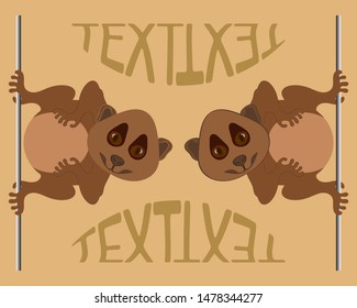 Comic smiling little fat lemur lory