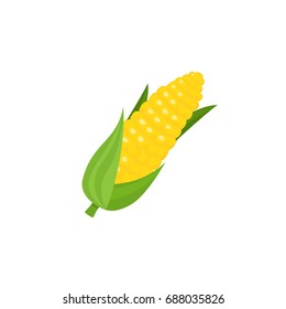 Comic style corn cob, ear with leaves, cartoon vector illustration isolated on white background. Simple cartoon style cob, ear of corn crop