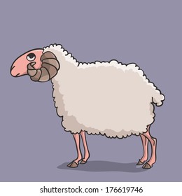 Comic white funny serious sheep. Vector illustration.