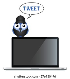 Comical bird tweet perched on a laptop with copy space for own text or graphics on laptop blank screen
