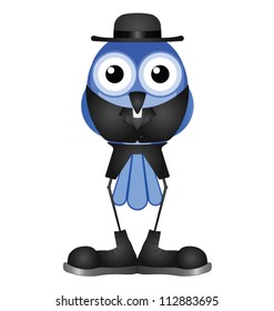 Comical bird vicar or priest isolated on white background