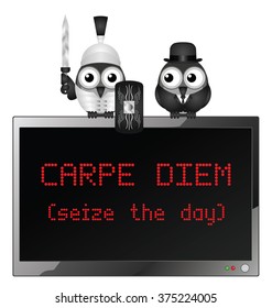 Comical Latin Carpe Diem translated as seize the day motivational message isolated on white background