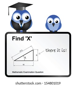 Comical stupid answer to geometry question isolated on white background 