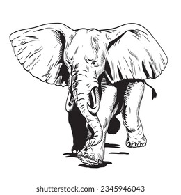 Dibujo al estilo de los cómics o ilustración de un elefante africano furioso que carga visto desde el frente sobre un fondo aislado en estilo retro blanco y negro.