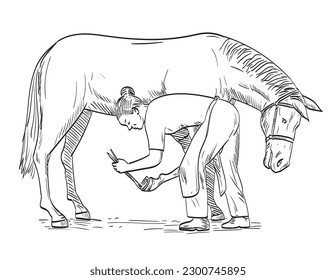 Comics style drawing or illustration of a female farrier placing horseshoe on the horse hoof viewed from the side on isolated background in black and white retro style.