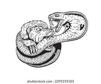 Comics style drawing or illustration of a honey badger fighting biting a king cobra snake on isolated background in black and white retro style.