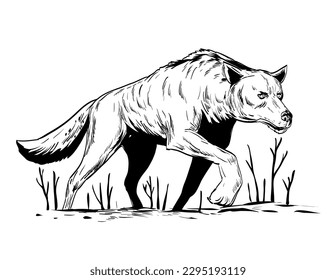 Comics style drawing or illustration of a wolf or wild dog stalking during winter viewed from low angle on isolated background in black and white retro style.