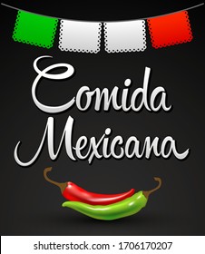 Comida Mexicana, Mexican Food spanish text Vector design.