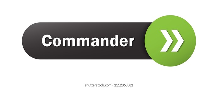 COMMANDER vector web button (means ORDER NOW in French)