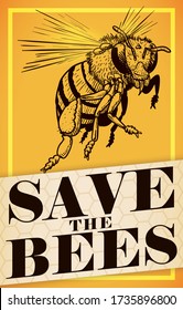 Commemorative design with realistic flying bee in hand drawn style, frame and label with honeycomb pattern promoting conservation measures and to save the bees during its day.