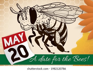 Commemorative scroll with bee drawing, honey, flower petals and loose-leaf calendar, reminding at you the date for Bee Day celebration: May 20.