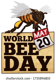 Commemorative sign with honeycomb pattern for World Bee Day celebration with bee standing on it holding a reminder calendar for this special commemoration in May 20.