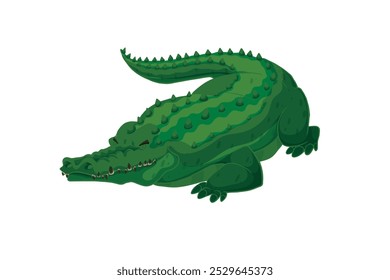 commercial colour crocodile vector style