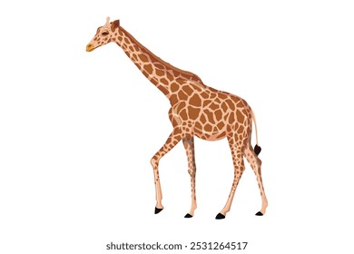 commercial colour giraffe vector style