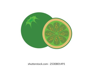 commercial colour green lemon vector style