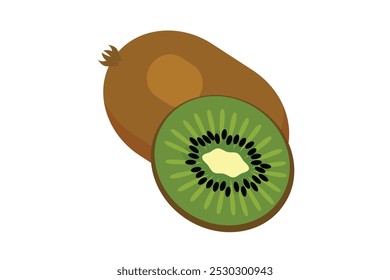 commercial colour kiwi vector style