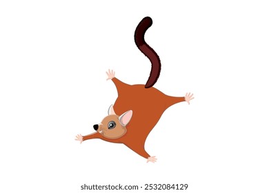 commercial colour squirrel vector style 