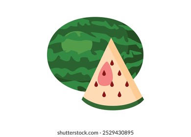 commercial colour watermalon vector style