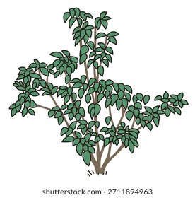 Design de plantação de instalação comercial | Ilustrações vetoriais de exteriores elegantes, arbustos e árvores de símbolo