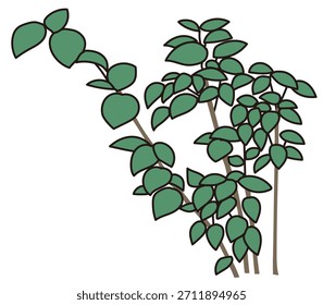 Commercial facility planting design | Vector illustrations of stylish exteriors, shrubs, and symbol trees