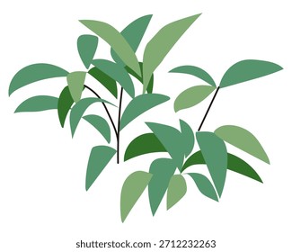 Commercial facility planting design | Vector illustrations of stylish exteriors, shrubs, and symbol trees
