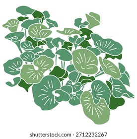 Commercial facility planting design | Vector illustrations of stylish exteriors, shrubs, and symbol trees