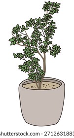 Commercial facility planting design | Vector illustrations of stylish exteriors, shrubs, and symbol trees