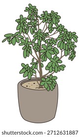 Commercial facility planting design | Vector illustrations of stylish exteriors, shrubs, and symbol trees