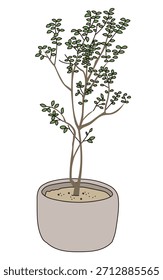 Design de plantação de instalação comercial | Ilustrações vetoriais de exteriores elegantes, arbustos e árvores de símbolo