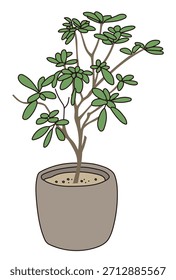 Commercial facility planting design | Vector illustrations of stylish exteriors, shrubs, and symbol trees