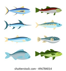 Fast Fish High Res Stock Images Shutterstock