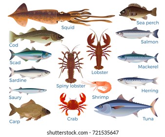 Lobster Species Chart