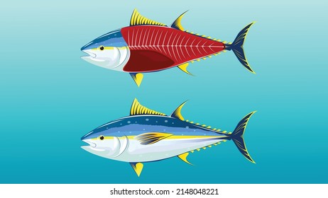 Commercial Fish Species. Yellowfin Tuna. Vector Illustration Cartoon Flat Icon Isolated On White.